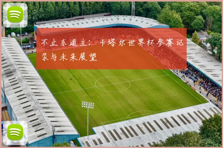 不止东道主：卡塔尔世界杯参赛记录与未来展望