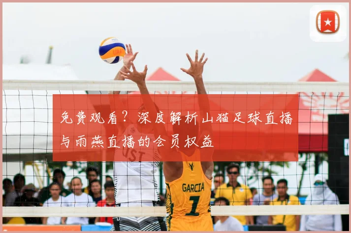 免费观看?深度解析山猫足球直播与雨燕直播的会员权益