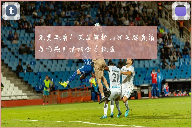 免费观看?深度解析山猫足球直播与雨燕直播的会员权益