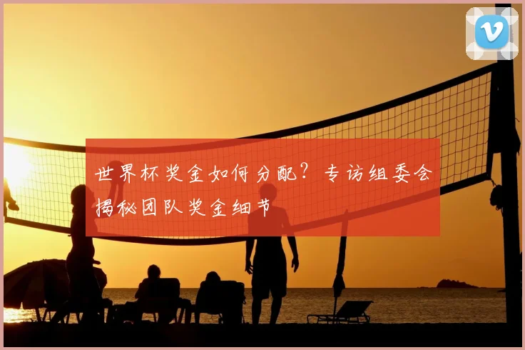 世界杯奖金如何分配？专访组委会揭秘团队奖金细节