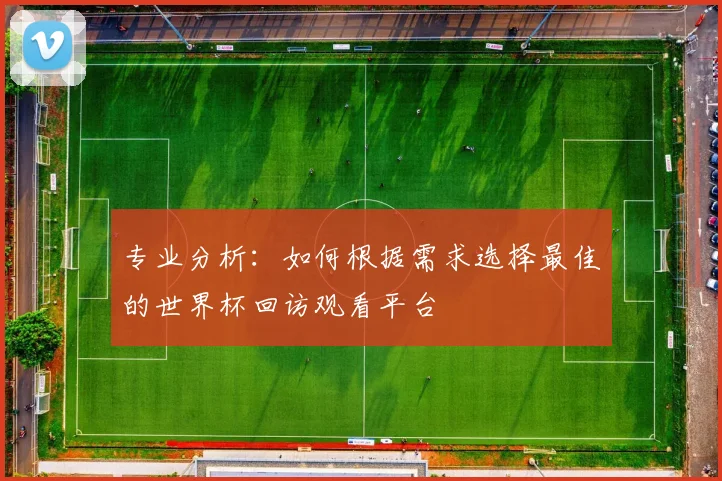 专业分析：如何根据需求选择最佳的世界杯回访观看平台