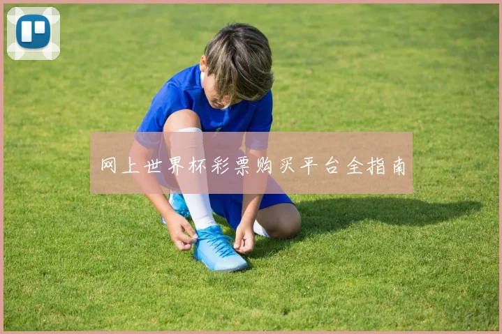 网上世界杯彩票购买平台全指南