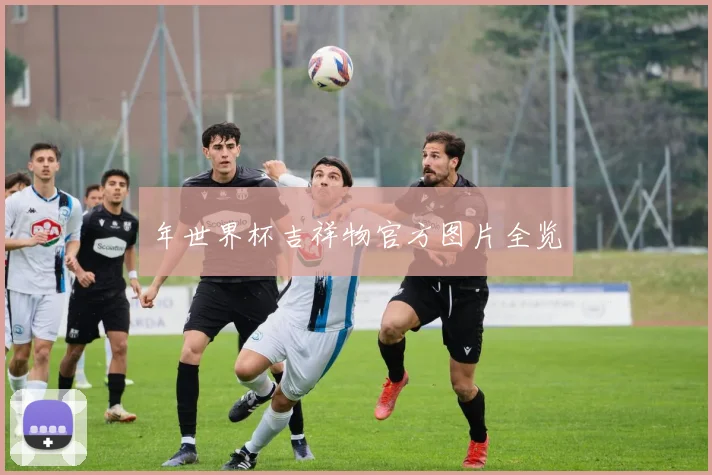 年世界杯吉祥物官方图片全览