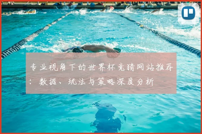 专业视角下的世界杯竞猜网站推荐：数据、玩法与策略深度分析