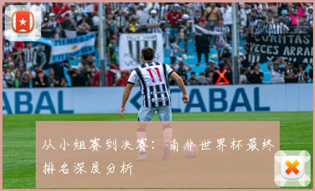 从小组赛到决赛：南非世界杯最终排名深度分析