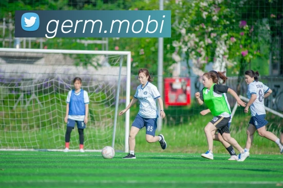 多媒体互动体验